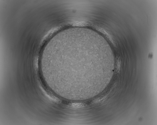 X0000116760686201001281612