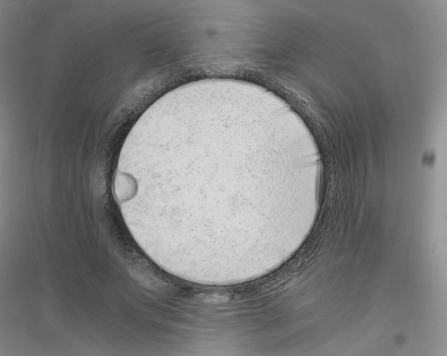 X0000116760687201001281612