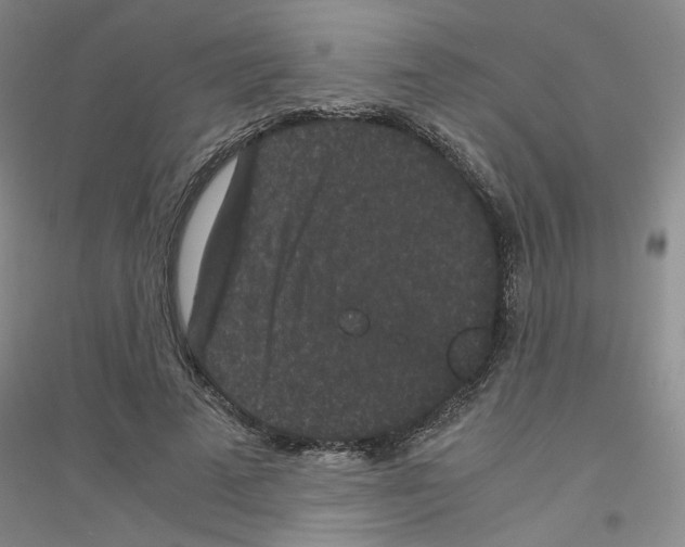 X0000116760689201001281612