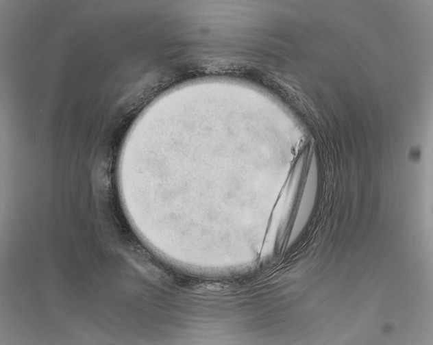 X0000116760691201001281612