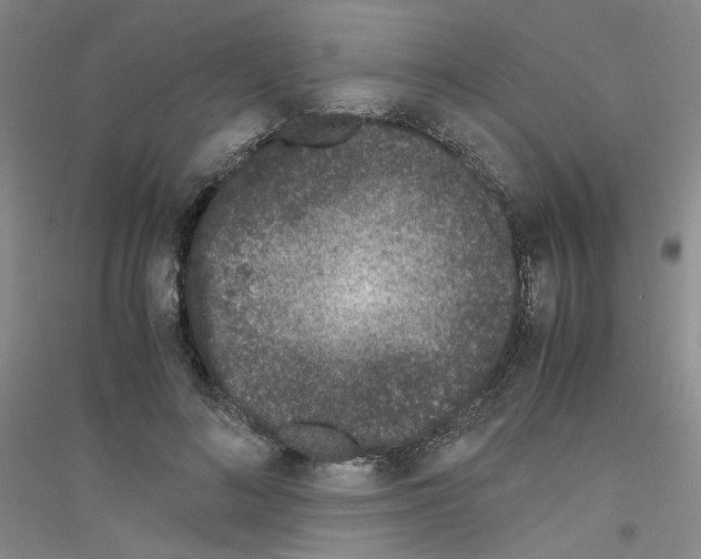 X0000116760692201001281612