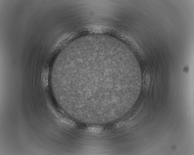 X0000116760694201001281612