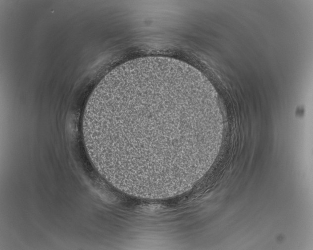 X0000116760695201001281612