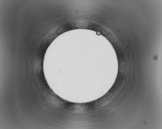 X0000116760697201001281612