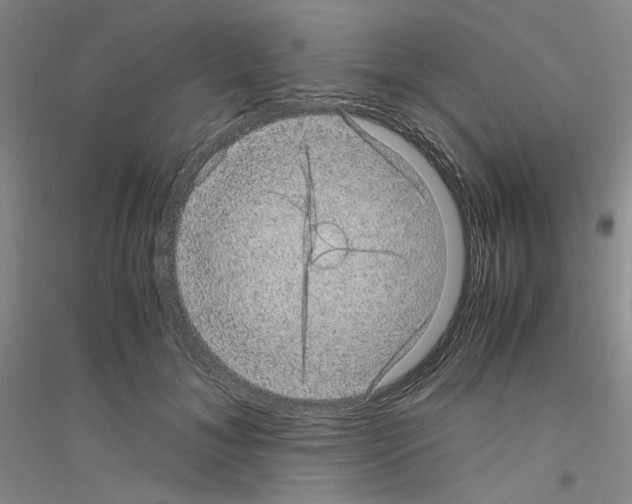 X0000116760700201001281612