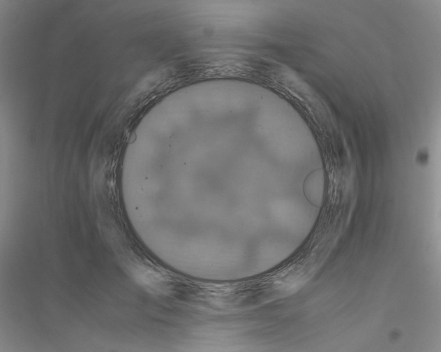 X0000116760701201001281612