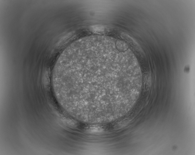 X0000116760702201001281612