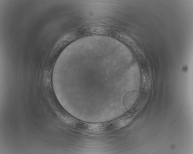 X0000116760705201001281612