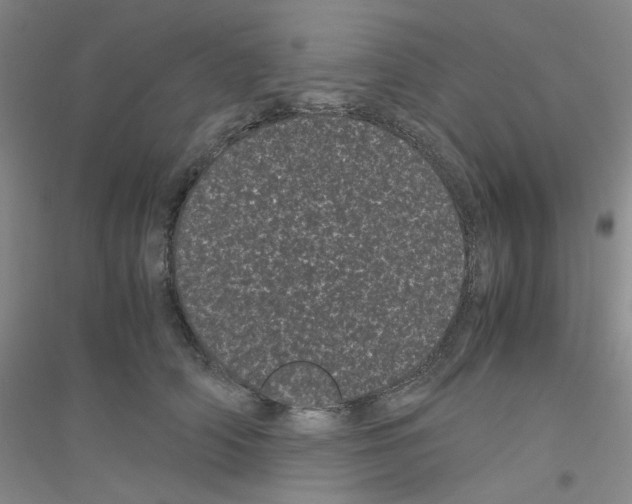 X0000116760706201001281612