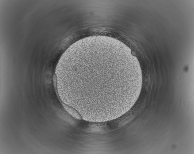 X0000116760708201001281612