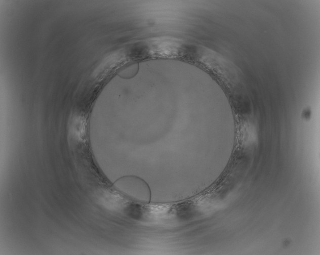 X0000116760709201001281612