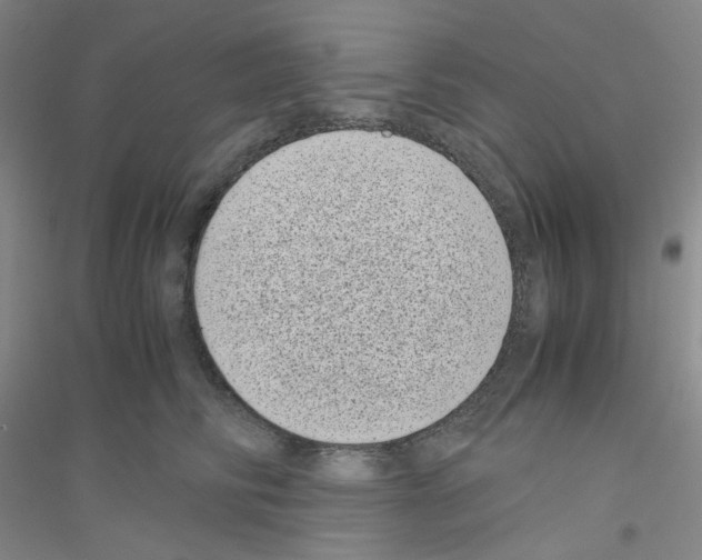 X0000116760710201001281612