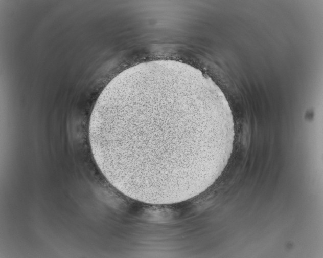 X0000116760712201001281612