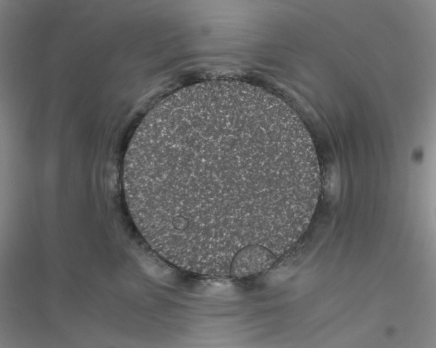 X0000116760715201001281612