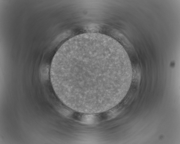 X0000116760717201001281612