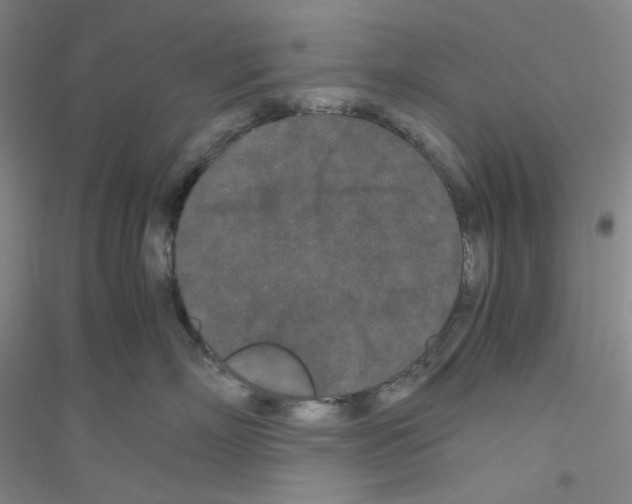 X0000116760718201001281612