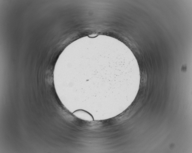 X0000116760719201001281612