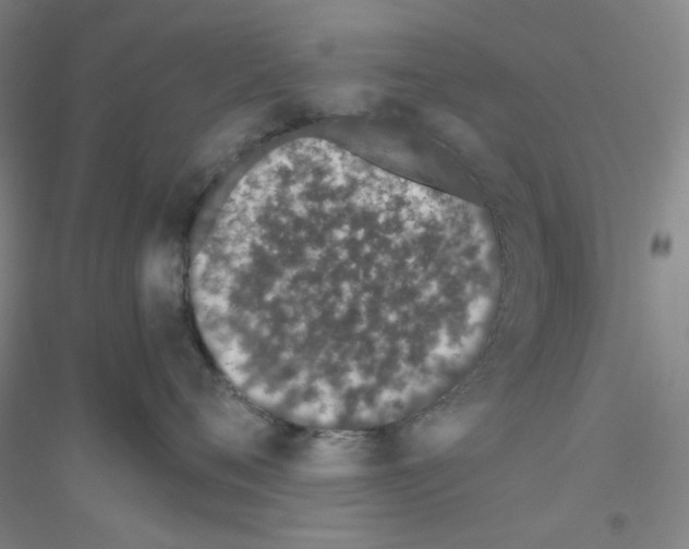 X0000116760720201001281612