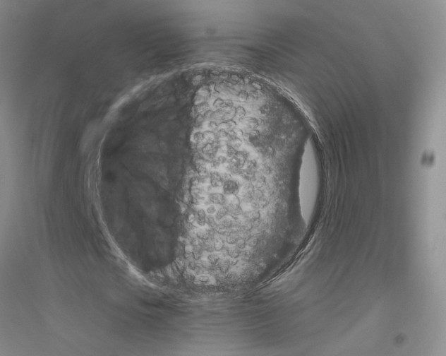 X0000116760721201001281611