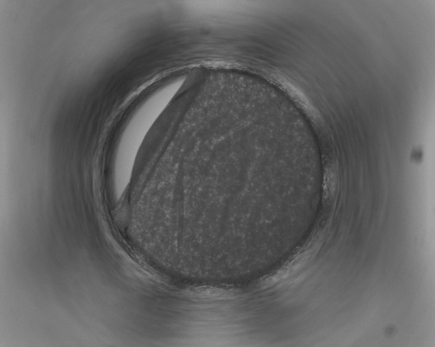 X0000116760722201001281611