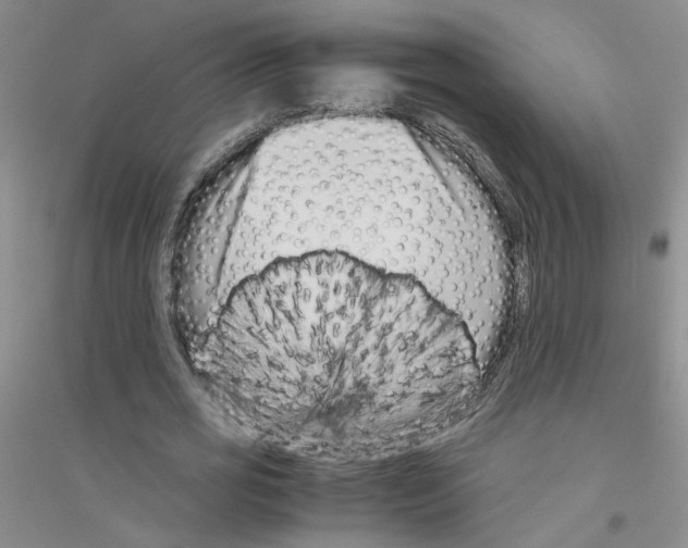 X0000116760725201001281611