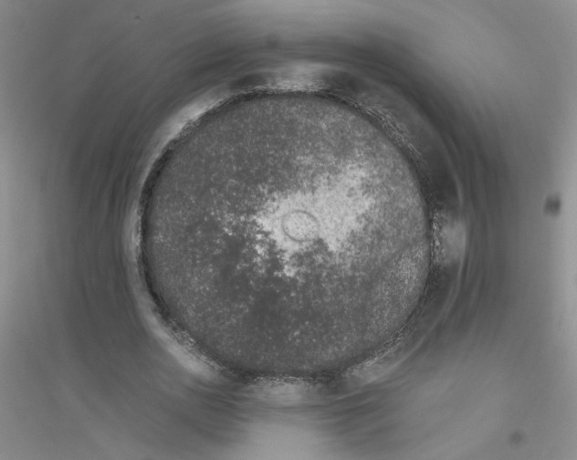 X0000116760726201001281611