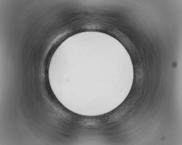 X0000116760727201001281611