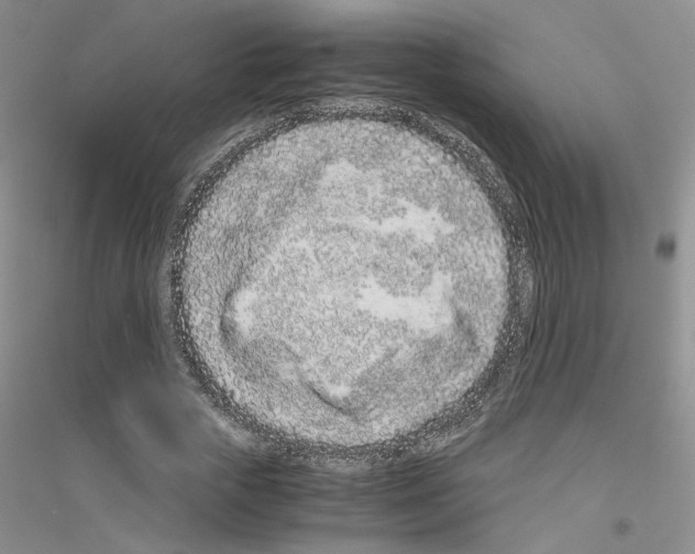 X0000116760729201001281611