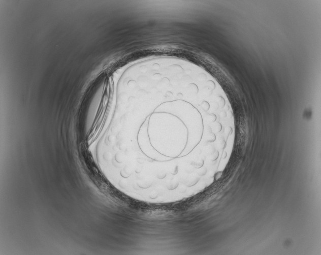 X0000116760734201001281611