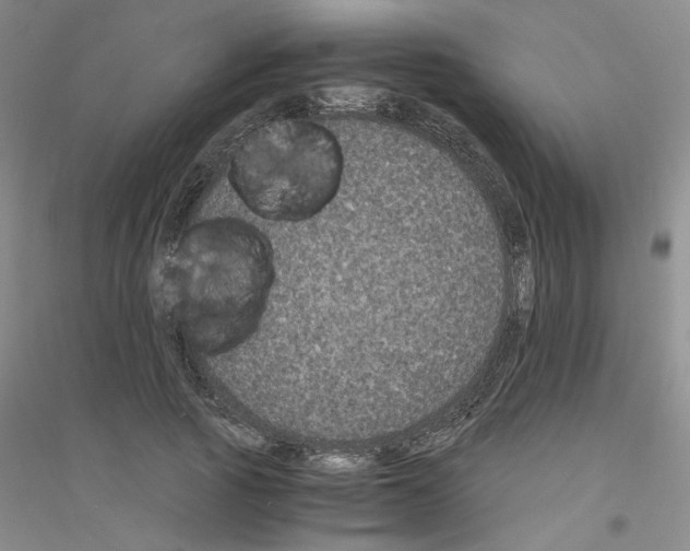 X0000116760737201001281611