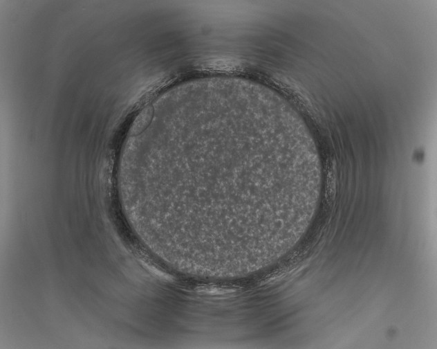 X0000116760739201001281611