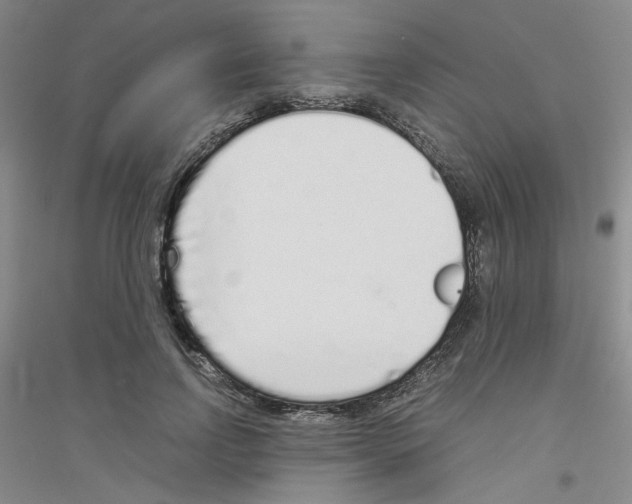 X0000116760742201001281611