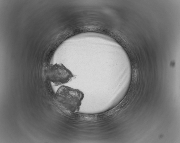 X0000116760745201001281611