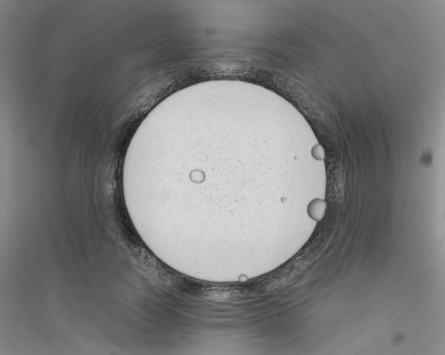 X0000116760746201001281611