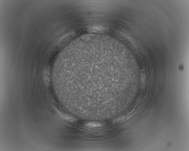 X0000116760749201001281611