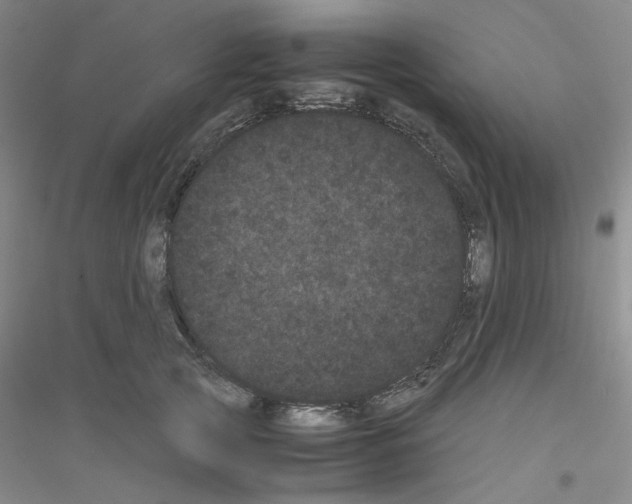 X0000116760753201001281611