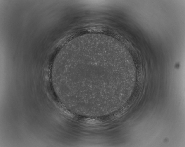 X0000116760755201001281611