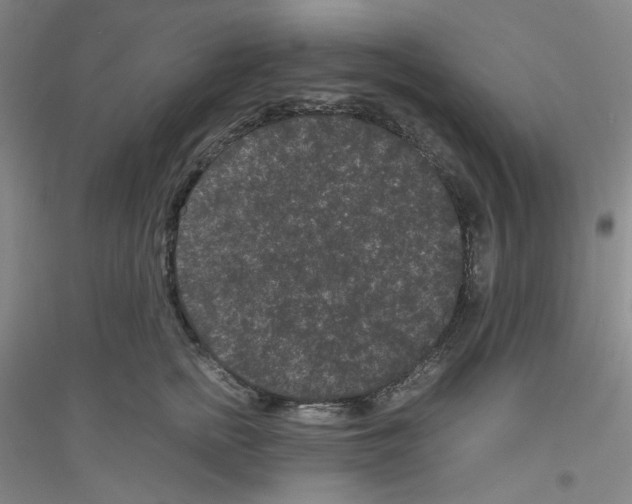 X0000116760758201001281611