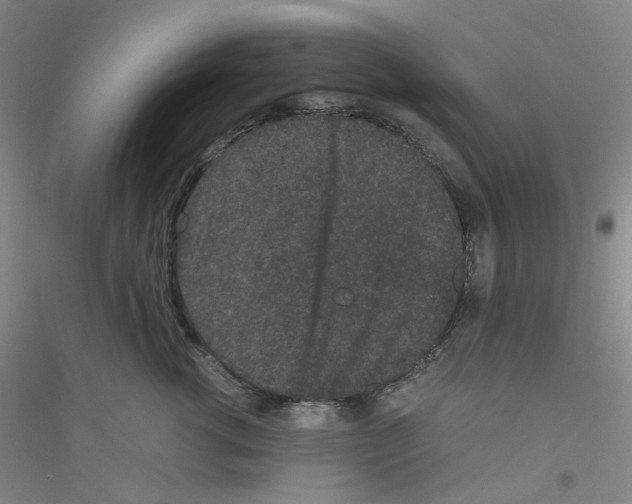 X0000116760762201001281612