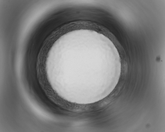 X0000116760765201001281612