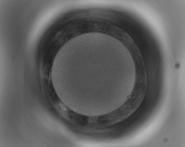 X0000116760766201001281612