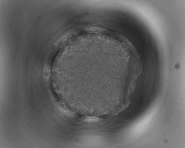 X0000116760767201001281612