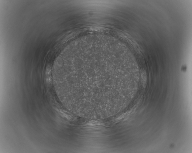 X0000116760770201001281611