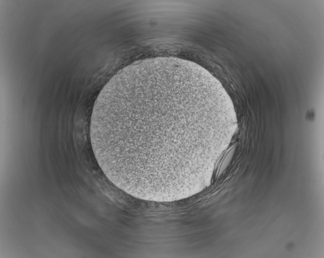 X0000116760772201001281611