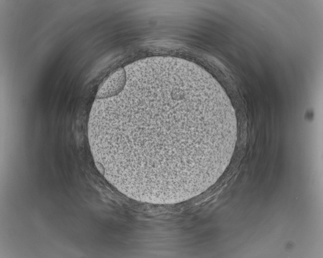 X0000116760774201001281611