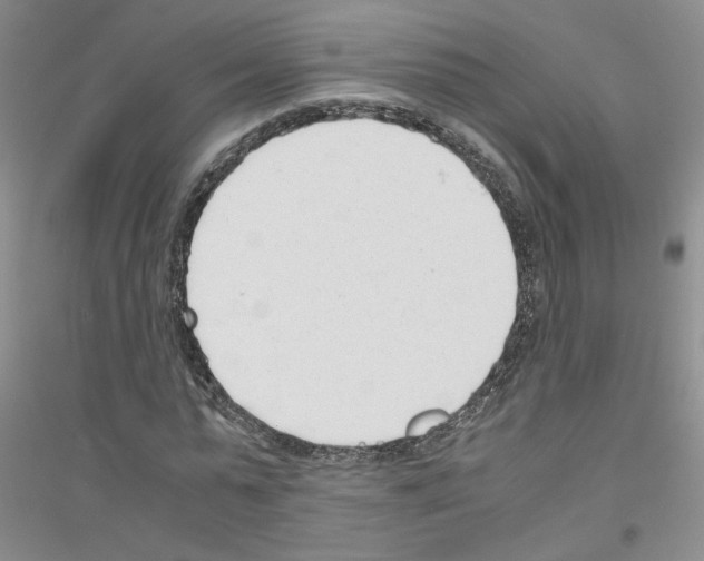 X0000116760775201001281611