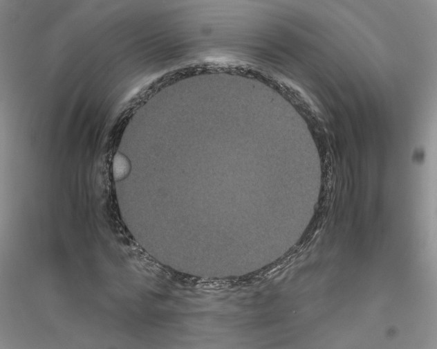 X0000116760776201001281611