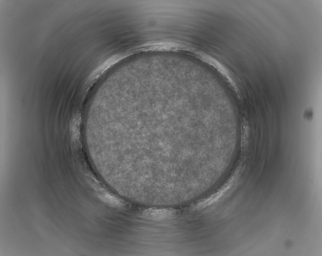 X0000116760778201001281611