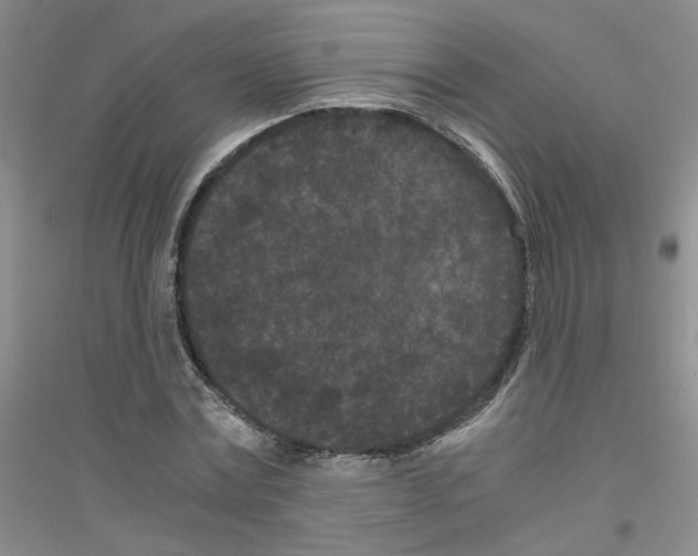 X0000116760779201001281611