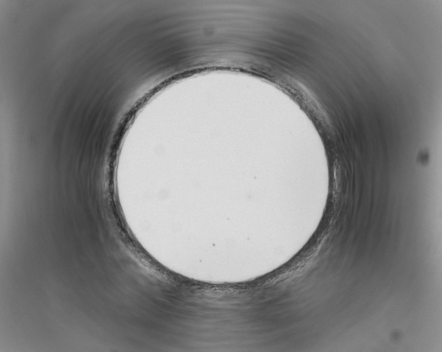 X0000116760780201001281611